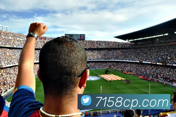 中彩网平台生态图